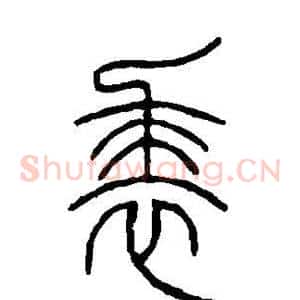 裘