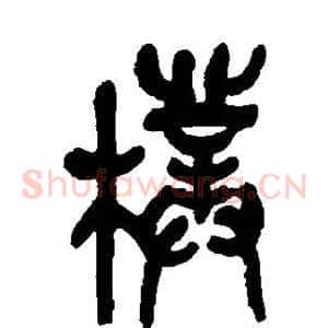 朴