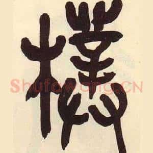 樸