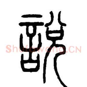 说