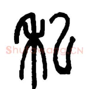 私