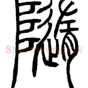 隨
