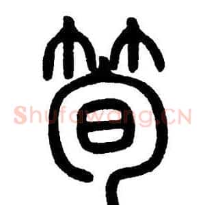 筍