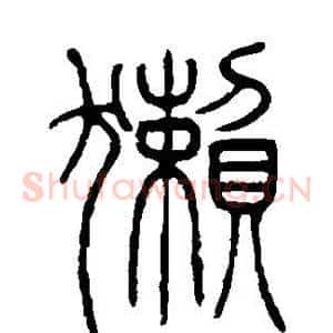 獭