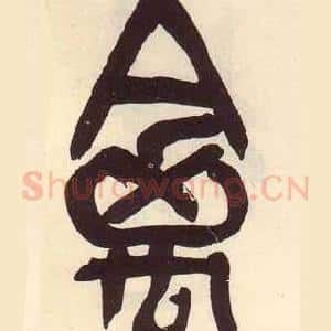 禽