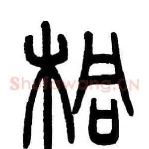 桐