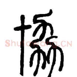 协