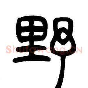 野