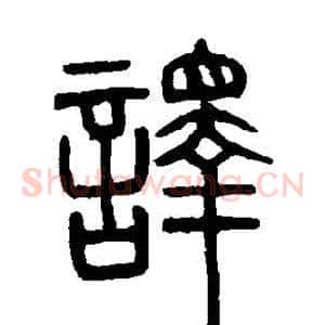 译