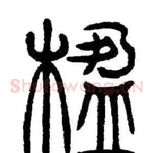 楹