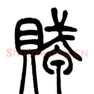 賊