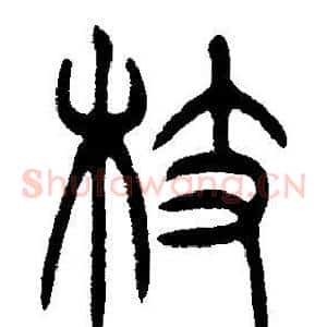枝