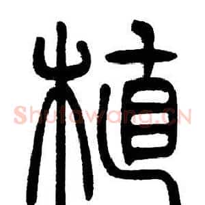 植