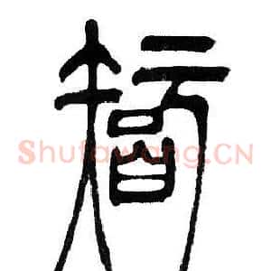 智