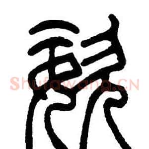 姿