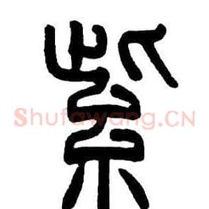 紫