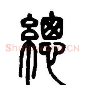总