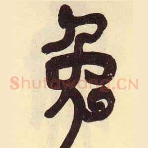 兔