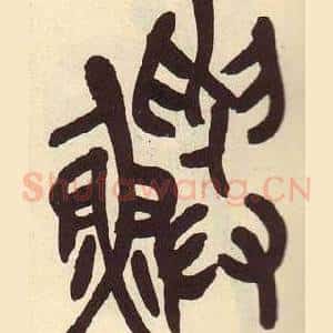 鱮