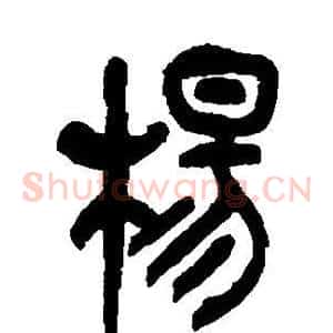 杨