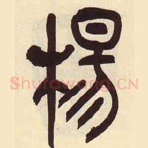 楊