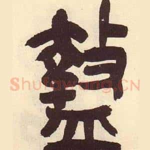 盩