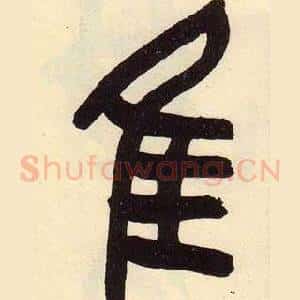 隹