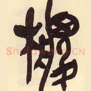 椶