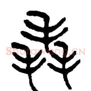 毳