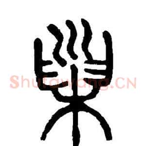 巢