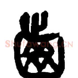 齿
