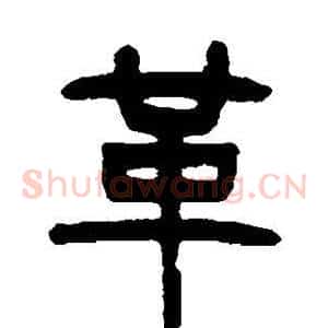 革