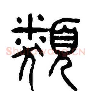 类