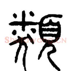類