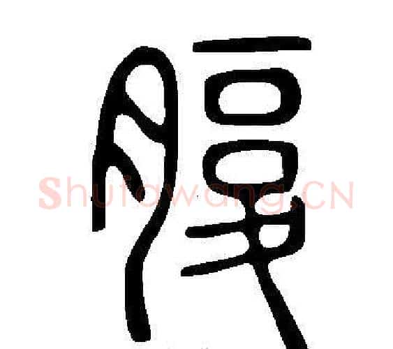 腹字许慎毛笔篆书书法写法,摘自说文解字