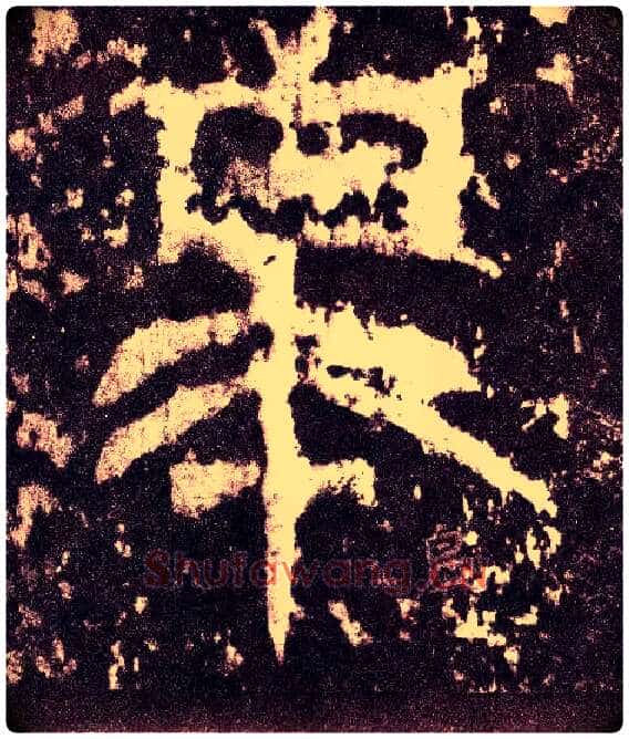 皋毛笔小篆写法,摘自三国天发神谶碑