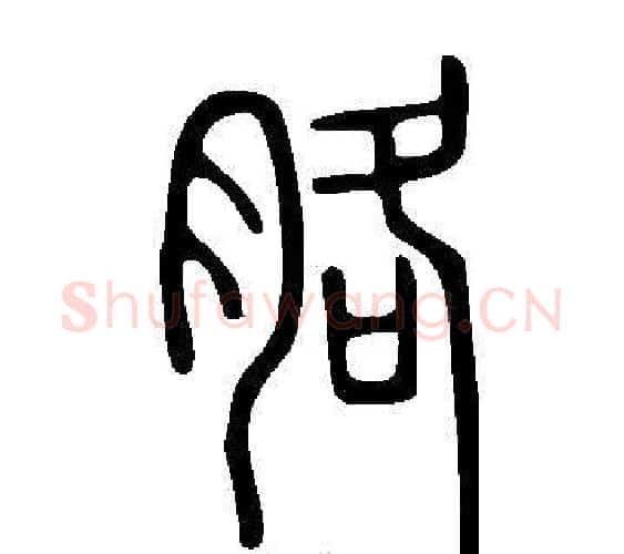 胳字许慎毛笔篆书书法写法,摘自说文解字