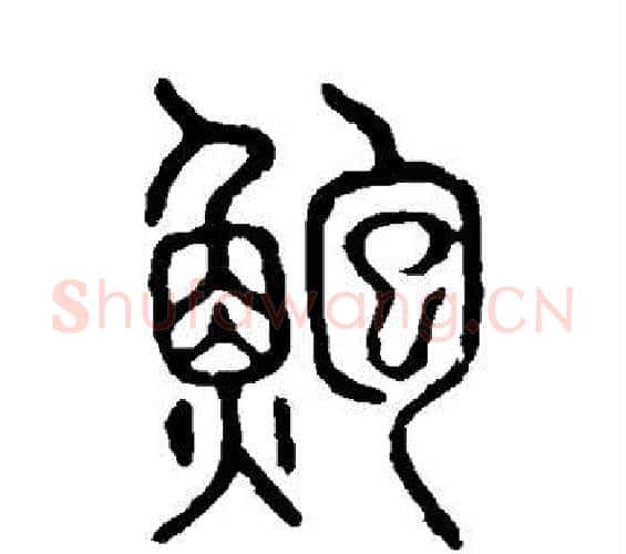 鲍字许慎毛笔篆书书法写法,摘自说文解字