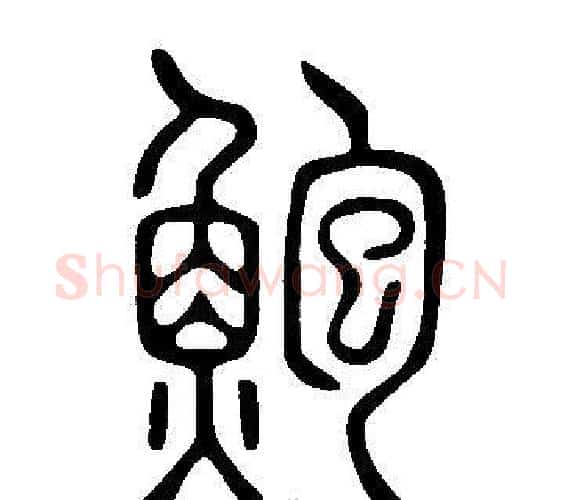 鮑字许慎毛笔篆书书法写法,摘自说文解字