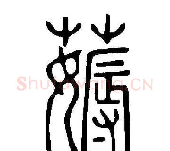 薅字许慎毛笔篆书书法写法,摘自说文解字