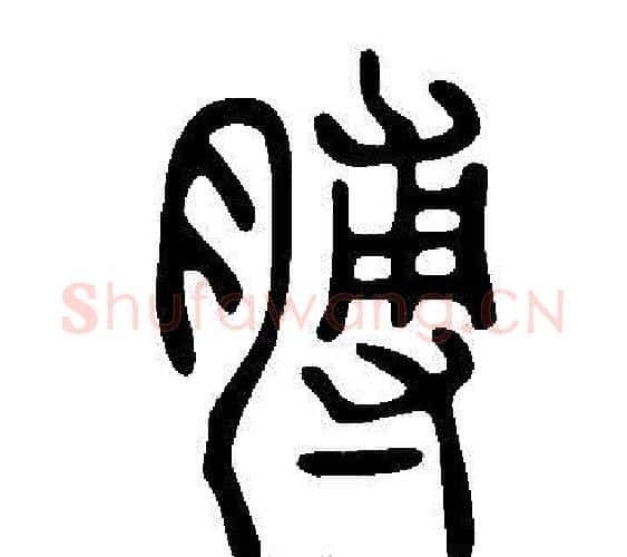 膊字许慎毛笔篆书书法写法,摘自说文解字