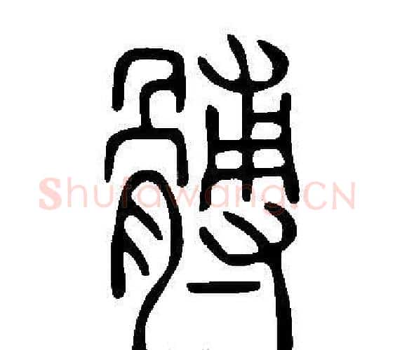 髆字许慎毛笔篆书书法写法,摘自说文解字