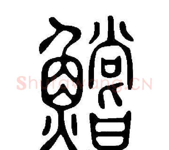 鱨字许慎毛笔篆书书法写法,摘自说文解字