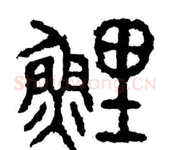 鯉字佚名毛笔篆书书法写法,摘自石鼓文