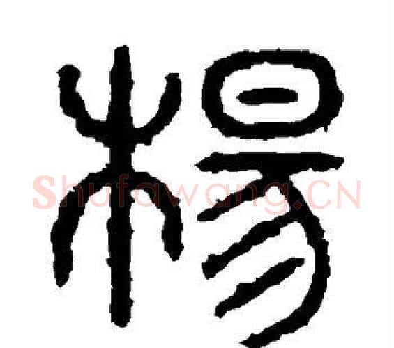 杨字佚名毛笔篆书书法写法,摘自石鼓文