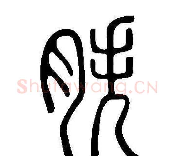 胅字许慎毛笔篆书书法写法,摘自说文解字