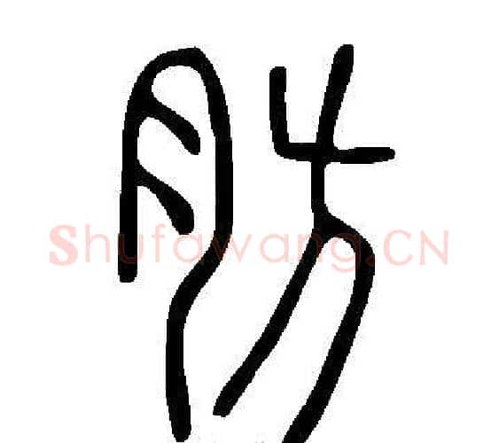 肪字许慎毛笔篆书书法写法,摘自说文解字