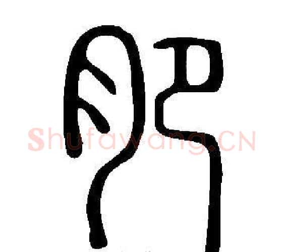 肥字许慎毛笔篆书书法写法,摘自说文解字