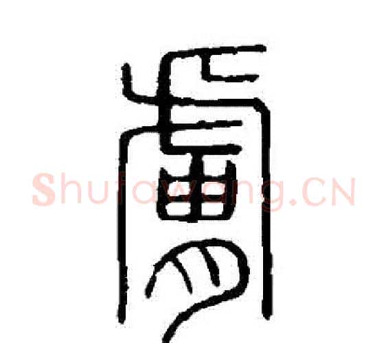 膚字许慎毛笔篆书书法写法,摘自说文解字