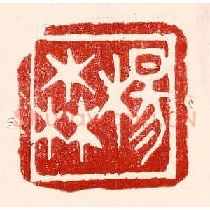 民国 王王孙篆 印谱《杨森》篆刻印章作品图片欣赏